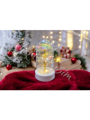 PremiumPort Yılbaşı Temalı Sonsuzluk Gülü Fanus Hediyesi Sevgiliye Özel 14 Şubat