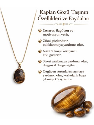 Solare Accessories Kaplan Gözü Doğal Taşlı Altın Kaplama Detaylı Kolye