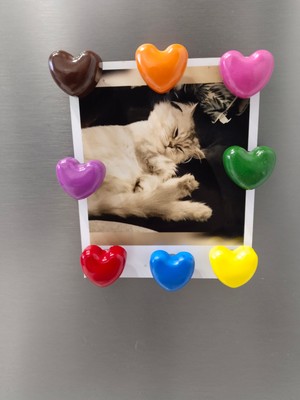 8'li Renkli Kalp Şekilli Buzdolabı Magneti Seti - Fotoğraf Tutucu Dekoratif Mıknatıs