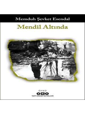 SHC4200 Mendil Altında