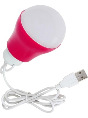 USB Kablolu 1 Metre 6-5 Volt Dat At Ampulü - Güneş Enerjili Solar Sistem Uyumlu Ampül