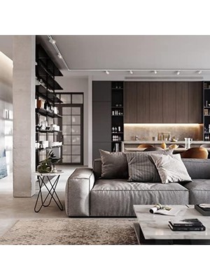 Tracklight Ray Sistemi Mini Lamba Başlığı, Siyah,