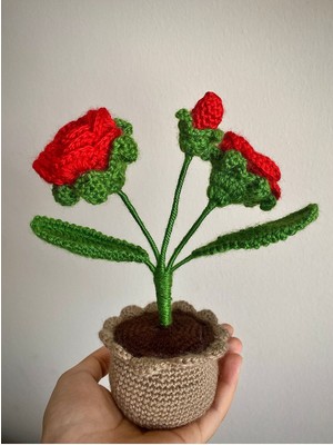 PremiumPort Solmayan Gül El Yapımı Saksıda Hediye, Anlamlı Anneler Günü Çiçeği