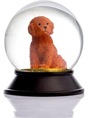 Cam ve Reçine Altın Patiler Köpek Toy Poodle (Tarçın) Kar Küresi Hediye
