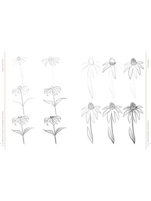 Draw Like An Artist: 100 Flowers And Plants: Step-By-Step Realistic Line Drawing * A Sourcebook For Aspiring Artists And Designers: Volume 2