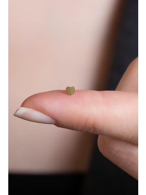 Bayar Gold 14 Ayar Altın Kalp Geçmeli Hızma