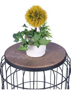 Yapay Çiçek Sitesi Beton Saksıda Yapay Çiçekli Tanzimler Model 2