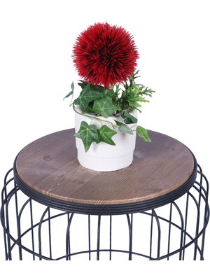 Yapay Çiçek Sitesi Beton Saksıda Yapay Çiçekli Tanzimler Model 5