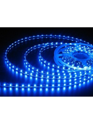 Allians 5 Metre Mavi Iç Mekan LED Şerit Işık, Şık ve Parlak Aydınlatma