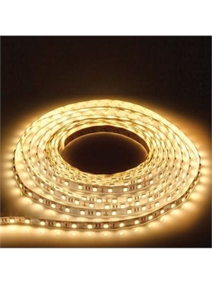 Allians 5 Metre Günışığı Şerit Dış Mekan Silikonlu A Kalite