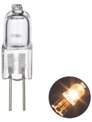 Aygünelektrik 5 Adet 12V 20W Kapsül Ampül Lamba G4 Duy Günışığı Iğne Ayaklı Avize ve Spot Ampulü