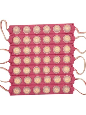 Powerr Led Aydınlatma 100 Adet 12 Volt 6 Watt 6 Lensli Pembe 3030 Smd LED Modül IP65 1 Paket