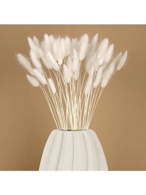 PremiumPort Doğal Kurutulmuş Pamuk Otu ve Lagurus Çiçekleri, Zarif Gelin Buketi
