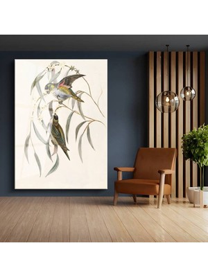 TosbArt John Gould Okaliptüs Dalı Kuşları Doğa Temperli Cam Tablo Sanat Tablosu Dekoratif Tablo