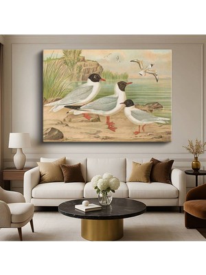 TosbArt Anonim Sahildeki Martılar Kuş Resmi Kanvas Tablo Sanat Tablosu Ressam Tablosu