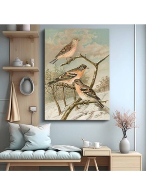 TosbArt John Gould Kış Kuşları Doğa Sanatı Kanvas Tablo Sanat Tablosu Ressam Tablosu