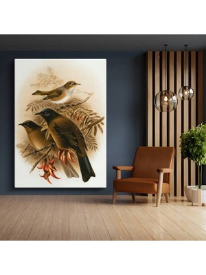 TosbArt John Gould Dal Üstü Üç Kuş Kanvas Tablo Sanat Tablosu Ressam Tablosu