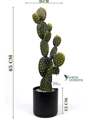 PremiumPort Siyah Taş Kaplı Saksıda Yapay Texas Kaktüs, Şık ve Doğal Görünüm