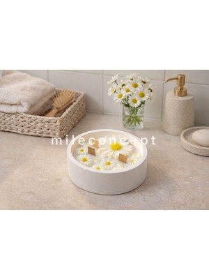 Mile Concept Beton Tabakta Vanilya Kokulu Ahşap Fitilli Papatya Mumluk | El Yapımı Dekoratif Mum 200GR