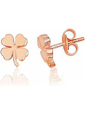 Inure Jewelry Gümüş Rose Yonca Çivili Kadın Küpe