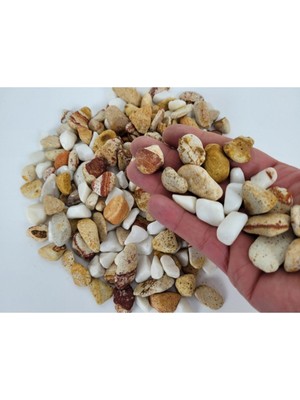 PremiumPort Renkli Çakıl Taşı 2 Kg, 1-2 Cm, Teraryum ve Saksı Dekorasyonu Için