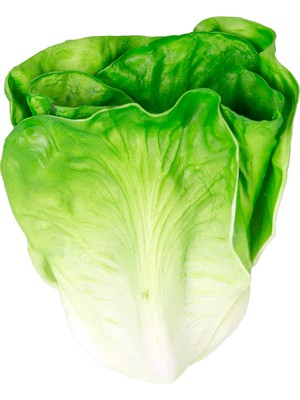 PremiumPort Canlı Yeşil Yapay Marul 14X18 Cm, Ferah ve Şık Dekorasyon Için