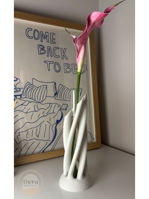 PremiumPort Şeffaf Cam Vazo 20CM, Dekoratif ve Modern Tasarım