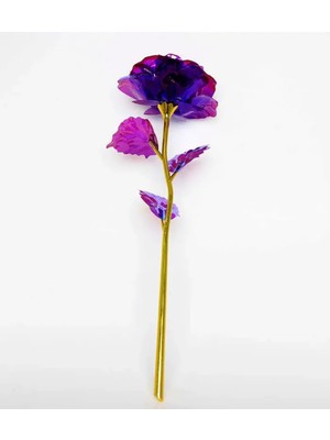 PremiumPort Sonsuz Sevgi Temalı Gül, Zarif ve Şık Hediye Seçeneği