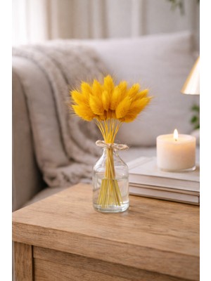 PremiumPort Sarı Doğal Kurutulmuş Tavşan Kuyruğu Otu Buketi, 15 Dal, 25 cm