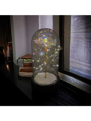 PremiumPort Işıklı Fanusta Sonsuzluk Gülü, Sevgililer ve Anneler Günü Hediyesi