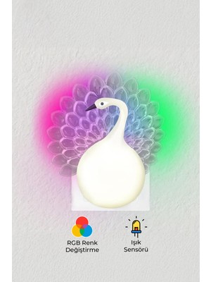 PremiumPort Rüya Gibi Işıklandırma Tavus Kuşu Gece Lambası, Şık ve Renkli Tasarım