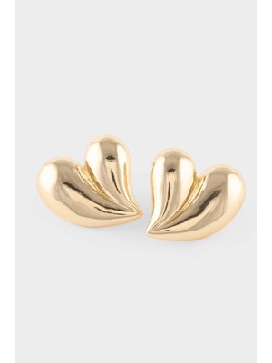 DeFacto Kadın Küpe H1696AXNS