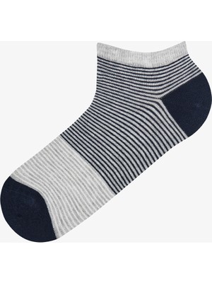 Penti Erkek Renkli Stripe Fade 3'lü Patik Çorap