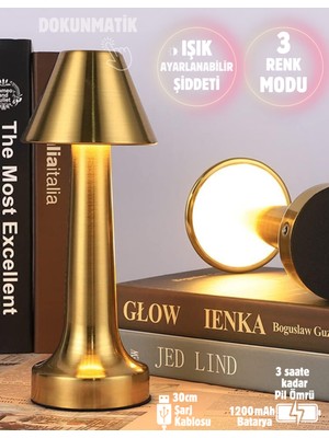 PremiumPort Şarjlı Metal Masa Lambası, Ayarlı Renkli Işık, Dokunmatik, Modern Tasarım