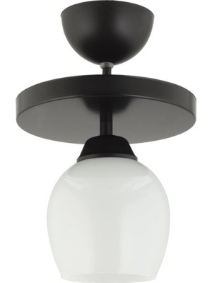 PremiumPort Şık Beyaz Camlı Yuvarlak Modern Tavan Avizesi, Salon, Mutfak ve Yatak Odası Için