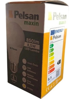 Pelsan LED Ampul