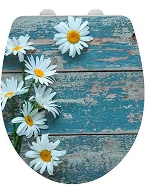 Wenko Asteride Klozet Kapağı