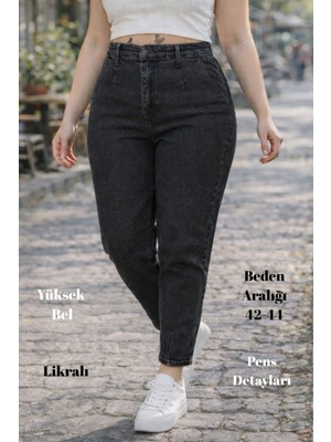 Cedy Denım Kadın Büyük Beden Pileli Mom Jean Pantolon C600