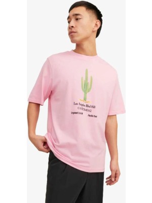 Jack & Jones Jorgrocery Tee Ss Crew Neck Erkek Pembe Tişört