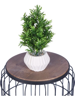 Yapay Çiçek Sitesi Beton Saksıda Yapay Bitkili Tanzimler Model 5