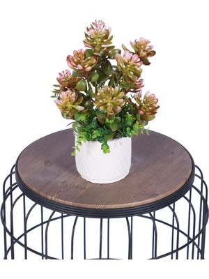 Yapay Çiçek Sitesi Beton Saksıda Yapay Bitkili Tanzimler Model 8