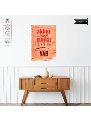 Akıllı Kağıt Statik Tutunma Özellikli Tablo - Poster Mizah (Model -10)
