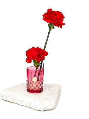 Missi Flora Design- Minimal Kırmızı Kesme Cam Vazo