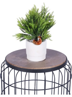 Yapay Çiçek Sitesi Beton Saksıda Yapay Bitkili Tanzimler Model 11