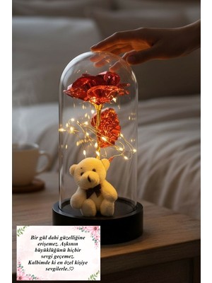 Lapidaria Beyaz Ayıcık ile Kırmızı Sonsuzluk Güllü LED Işıklı Fanus Sevgiliye Özel Hediye