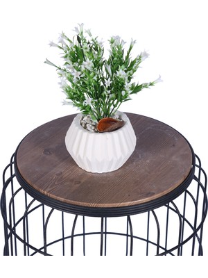 Yapay Çiçek Sitesi Beton Saksıda Yapay Çiçekli Tanzimler Model 12