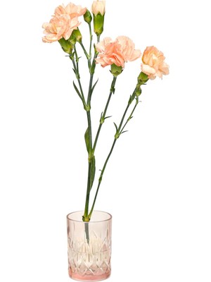 Missi Flora Design-Minimal Pembe Kesme Cam Vazo