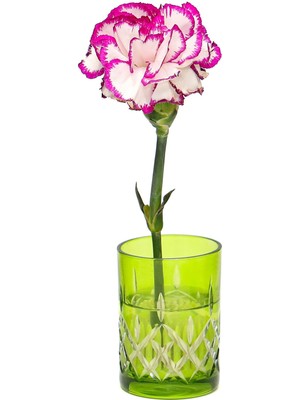 Missi Flora Design- Minimal Yeşil Kesme Cam Vazo