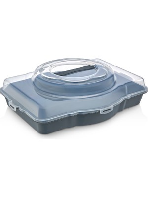 Dört 4lük Pasta & Kek Borcam Taşıma Kabı