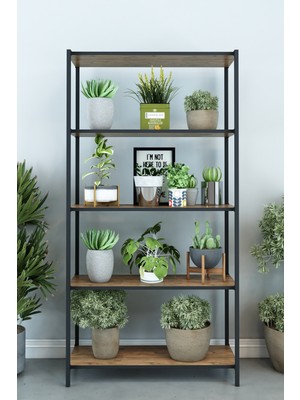 Dekozum Scarlet 5 Raflı Çiçeklik Saksılık Saksı Standı Dekoratif Çok Amaçlı Raf 150 cm Atlantikçam